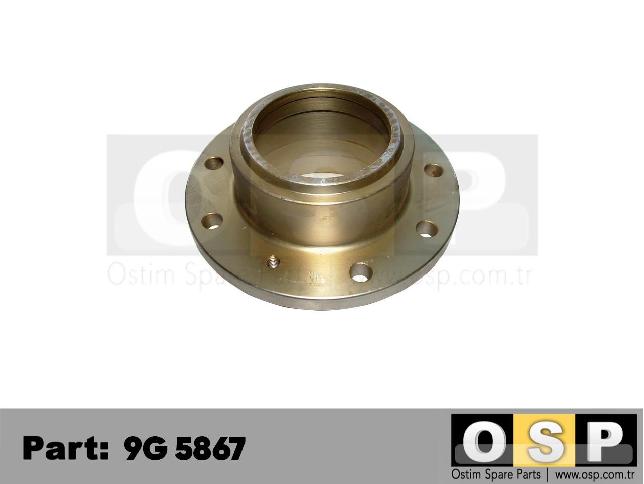 CAGE-BEARING